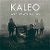kaleo-way_down_we_go_s.jpg