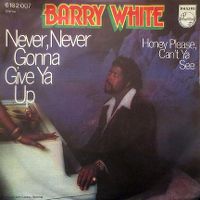 Cover Barry White - Never, Never Gonna Give Ya Up
