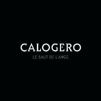 calogero-le_saut_de_lange_s.jpg