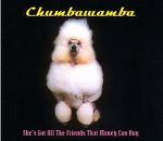 chumbawamba-shes_got_all_the_friends_that_money_can_buy_s.jpg