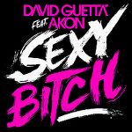 david_guetta_feat_akon-sexy_bitch_s.jpg