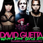 David+guetta+where+them+girls+at+cover