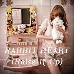florence_and_the_machine-rabbit_heart_(raise_it_up)_s_1.jpg