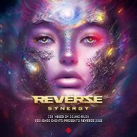 Cover  - Reverze 2023  Synergy