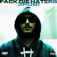 Cover 3robi - Fack die haters