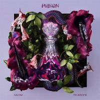Cover Aaliyah & The Weeknd - Poison