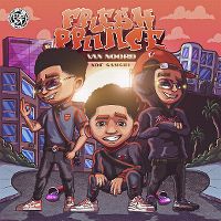 Cover ADF Samski - Fresh Prince van Noord