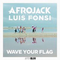 Cover Afrojack feat. Luis Fonsi - Wave Your Flag