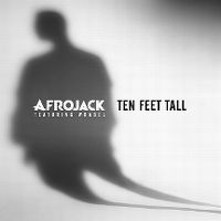 Cover Afrojack feat. Wrabel - Ten Feet Tall