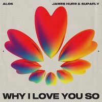 Cover Alok / James Hurr & Supafly - Why I Love You So