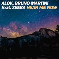 Cover Alok & Bruno Martini feat. Zeeba - Hear Me Now