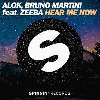 Cover Alok & Bruno Martini feat. Zeeba - Hear Me Now