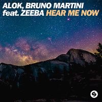 Cover Alok & Bruno Martini feat. Zeeba - Hear Me Now