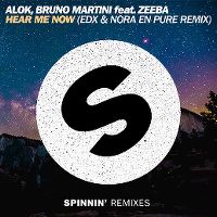 Cover Alok & Bruno Martini feat. Zeeba - Hear Me Now