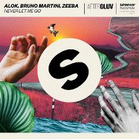 Cover Alok, Bruno Martini & Zeeba - Never Let Me Go