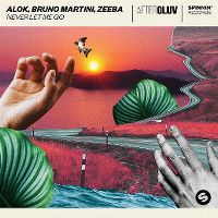 Cover Alok, Bruno Martini & Zeeba - Never Let Me Go