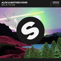 Cover Alok & Mathieu Koss - Big Jet Plane