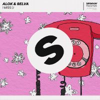 Cover Alok & Selva - I Miss U