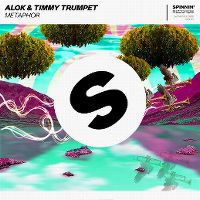 Cover Alok & Timmy Trumpet - Metaphor