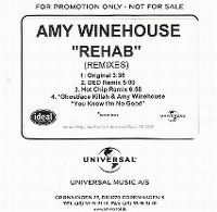 Cover Amy Winehouse - Rehab