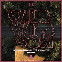 Cover Armin van Buuren feat. Sam Martin - Wild Wild Son