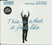 Cover Armin van Buuren feat. Trevor Guthrie - This Is What It Feels Like