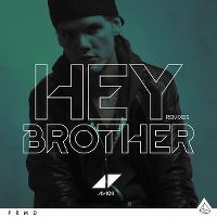 Cover Avicii - Hey Brother