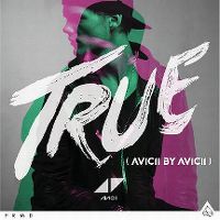 Cover Avicii - True