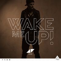 Cover Avicii - Wake Me Up!
