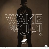 Cover Avicii - Wake Me Up!