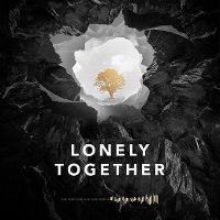 Cover Avicii feat. Rita Ora - Lonely Together