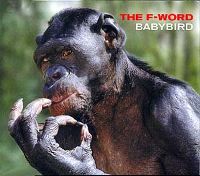Cover Babybird - The F-Word