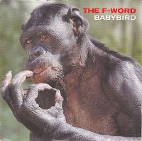 Cover Babybird - The F-Word