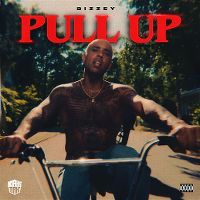 Cover Bizzey - Pull Up