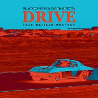 Cover Black Coffee & David Guetta feat. Delilah Montagu - Drive