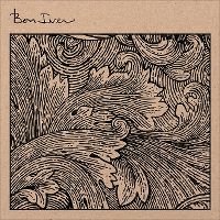 Cover Bon Iver - Skinny Love