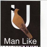 Cover Bon Iver - U (Man Like)
