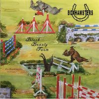 Cover Boxhamsters - Black Beauty Farm