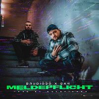 Cover Brudi030 x SA4 - Meldepflicht