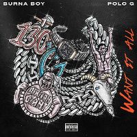Cover Burna Boy feat. Polo G - Want It All