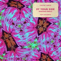 Cover Calvin Harris / Tom Grennan - By Your Side