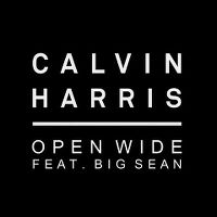 Cover Calvin Harris feat. Big Sean - Open Wide