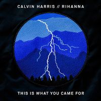 Cover Calvin Harris feat. Rihanna - This Is What You Came For
