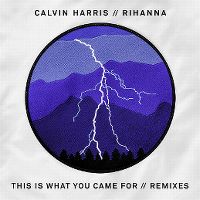 Cover Calvin Harris feat. Rihanna - This Is What You Came For