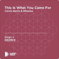 Cover Calvin Harris feat. Rihanna - This Is What You Came For