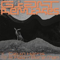 Cover Calvin Harris & Rag'n'Bone Man - Giant