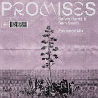 Cover Calvin Harris & Sam Smith - Promises