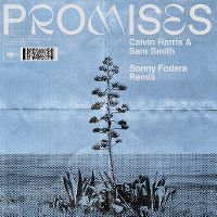 Cover Calvin Harris & Sam Smith - Promises