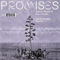 Cover Calvin Harris & Sam Smith - Promises