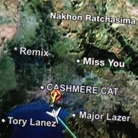 Cover Cashmere Cat, Major Lazer & Tory Lanez - Miss You